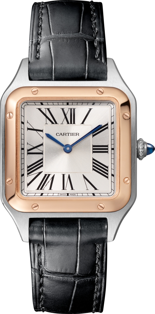 Cartier Santos Dumont W2SA0012 Ladies