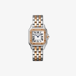 Cartier Panthere W3PN0007 Womens
