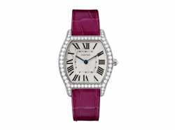 Cartier Tortue WA501009 Mid-Size