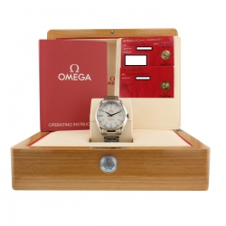 Omega Seamaster Aqua terra Automatic Date Mens watch 23110422102004