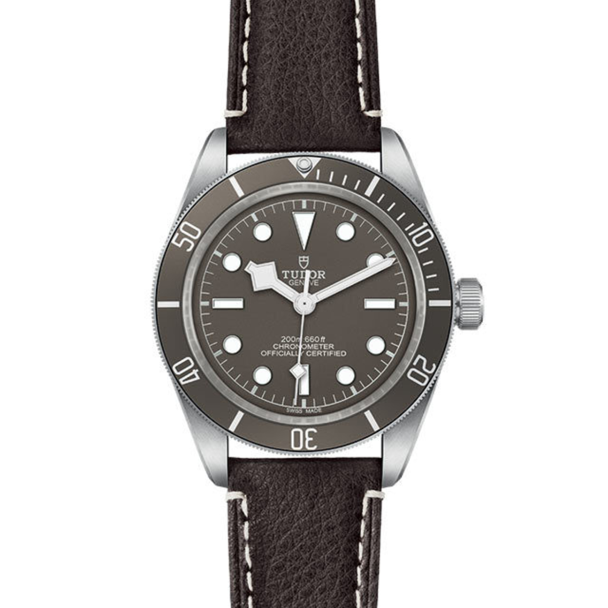Rolex Tudor Black Bay Automatic No Date Mens watch 79010SG0001