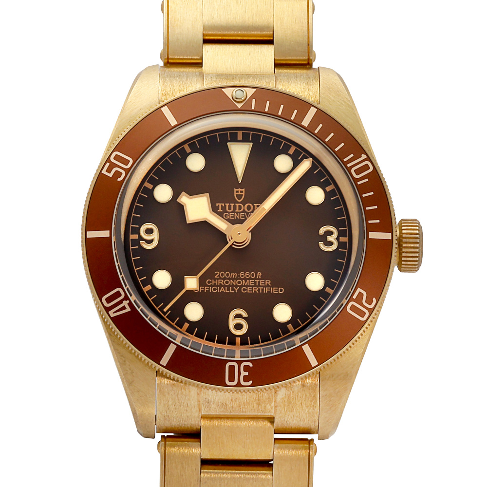 Rolex Tudor Black Bay Automatic No Date Mens watch 79012M0001